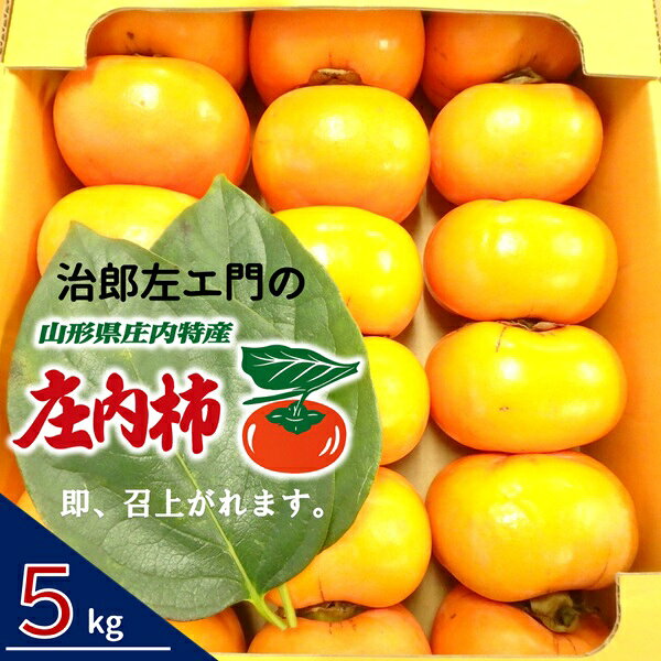 【ふるさと納税】治郎左エ門の庄内柿 1箱約5kg　※11月上旬頃から順次配送（皆川　みなと）