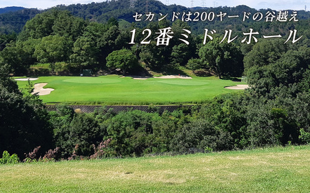 新大阪ゴルフクラブ平日別優待プレー券（1名様×1枚） ／ ゴルフ ゴルフコース プレー券 ゴルフ場 ゴルフ場利用券 優待券 チケット 券 スポーツ 運動 絶景 大阪府 No.013