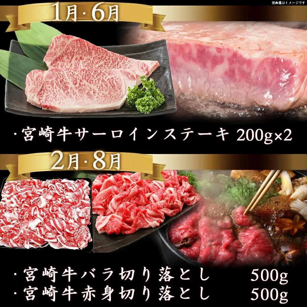 迷ったらコレ!宮崎牛食べ尽くし定期便(10ヵ月)〔T120（10）-0101〕_(都城市)A5 5等級 牛肉 バラ 赤身 サーロインステーキ ヒレステーキ ロース 焼き肉 しゃぶしゃぶ すき焼き スラ
