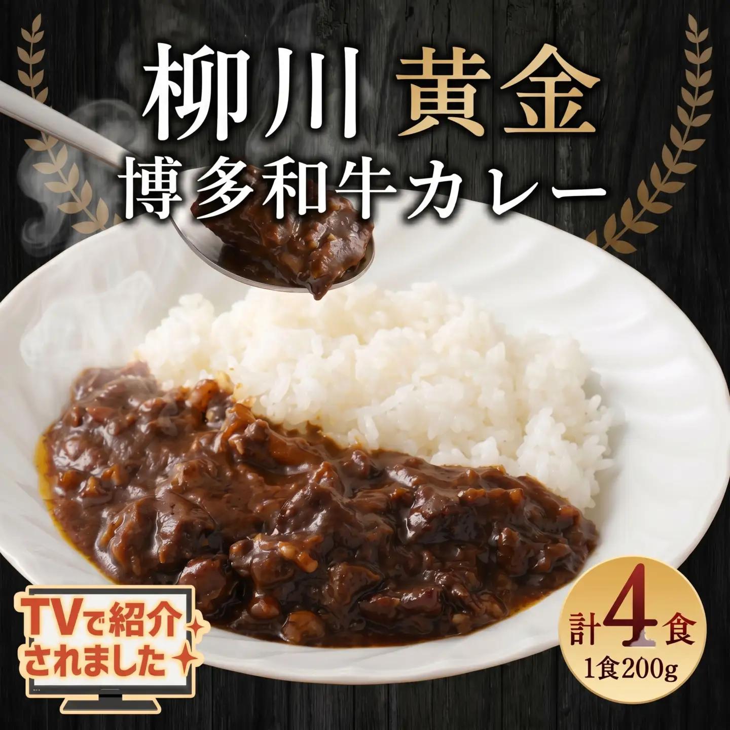 【TVで話題】柳川黄金博多和牛カレー （4箱） カレー レトルト