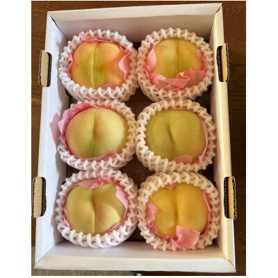 【ふるさと納税】岡山産白桃　ご家庭用　1キロ以上　品種園主お任せ　訳アリ【配送不可地域：離島】【1710272】