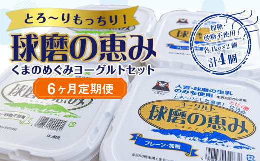 
【6ヶ月定期便】とろ～りもっちり!球磨の恵みヨーグルトセット(加糖・砂糖不使用各1kgx2個 計4個)計24kg
