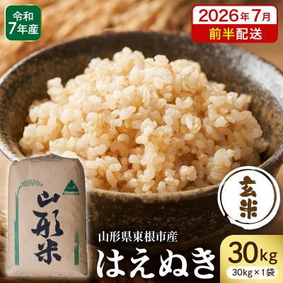 ふるさと納税 東根市 【令和7年産】※2026年7月前半発送※ 玄米 はえぬき30kg hi053-065-071