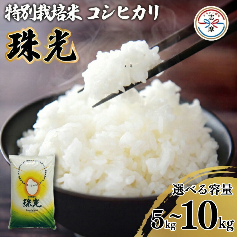 【ふるさと納税】 令和7年産 コシヒカリ 選べる 5kg or 10kg 特別栽培米 「珠光」 ブランド米 国産 新米 米 白米 精米 コシヒカリ お米 ご飯 朝食 昼食 夕食 伊勢 志摩 三重県 10000円 以上 1万円 以上