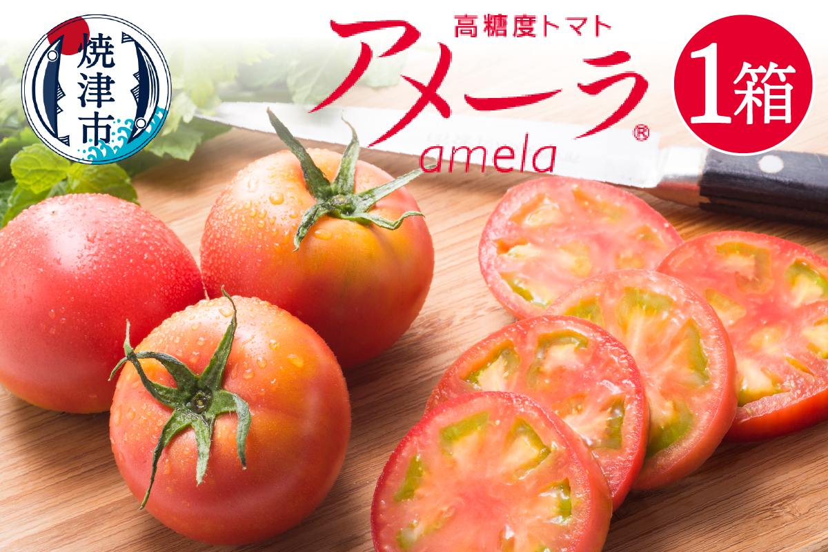 a10-371　アメーラ トマト 高糖度 トマト 産地 直送 化粧箱入