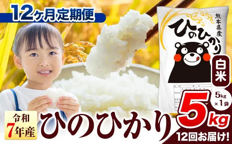 R7年産【12ヶ月定期便】ひのひかり 5kg 米 定期