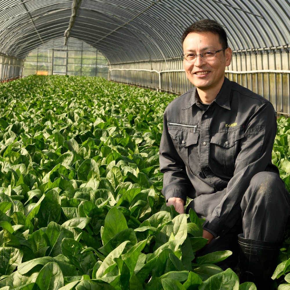 ほうれん草 約1kg（150g x 7袋）【ハウス栽培 産地直送 クール便 佐賀県脊振山麓産】(H091113)