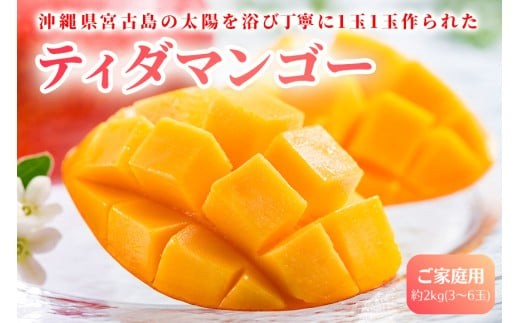 
            AI003【先行予約】2026年発送　沖縄県宮古島・完熟マンゴー2kg【ご家庭用】ティダマンゴー宮古島農園
          