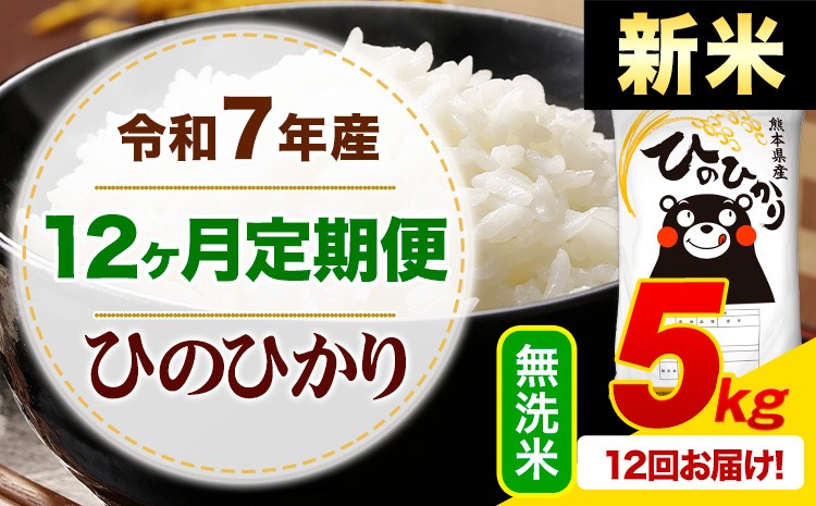 
            【12ヶ月定期便】新米 令和7年産 無洗米 ひのひかり 定期便 5kg《1月から出荷開始》熊本県産 ふるさと納税 精米 ひの 米 こめ ふるさとのうぜい ヒノヒカリ コメ お米
          