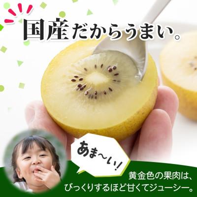 ふるさと納税 大月市 大月市の美味しいキウィ おおつきうぃ ゴールドキウイ 900g以上 9個 杉本農園 山梨県 |  | 01