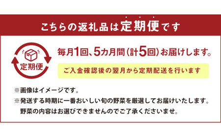【定期便5回】 旬の野菜とたまごのセット 野菜 10品 にんにくたまご 12個 やさい 卵 詰め合わせ 詰合せ 定期便 【メロンドーム】
