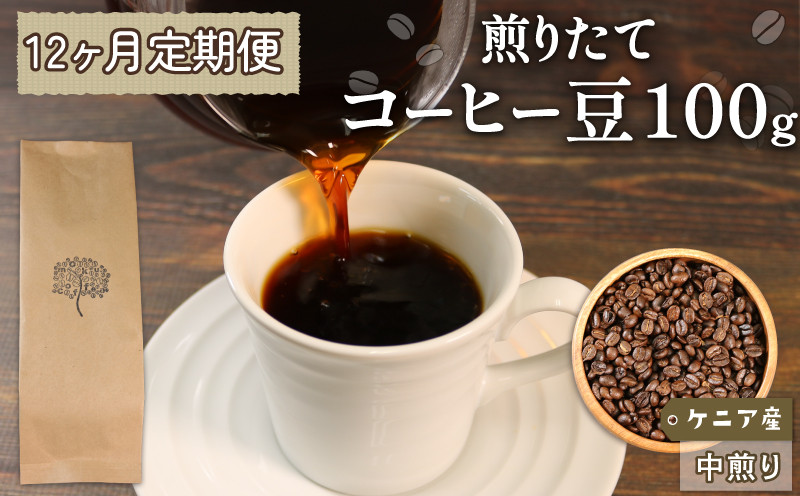 
【12ヶ月/定期便】 自家焙煎 コーヒー 豆 100g ケニア 中煎り
