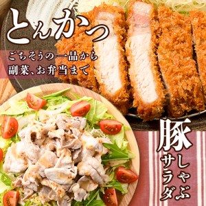 ＜お試し用＞豚肉 バラエティーパック(合計800g・4種)豚バラ しゃぶしゃぶ 鍋 とんかつ ロース 小分け 個包装 豚こま 小間切れ スライス セット 詰め合わせ 詰合せ 冷凍 食べ比べ 国産 大分