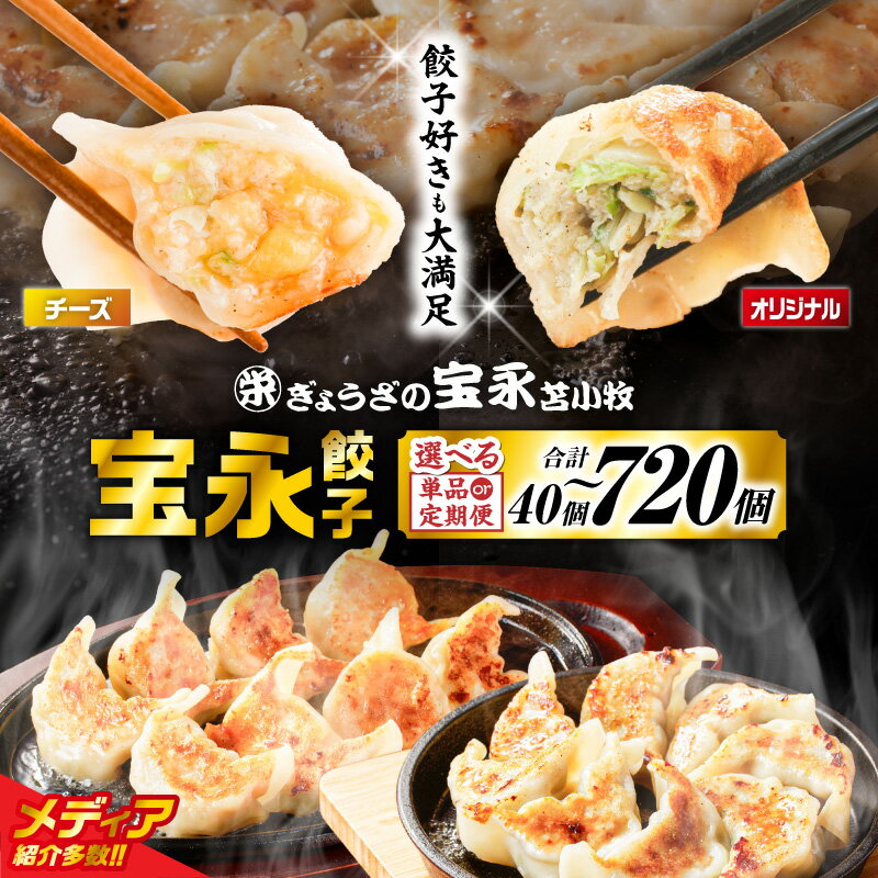 【ふるさと納税】 ＜選べる種類・容量・回数＞ ぎょうざの宝永 宝永 餃子 チーズ餃子 1kg 〜 1.5kg 定期便 冷凍 ギョーザ 肉 チーズ 食べ比べ セット 水餃子 焼き餃子 北海道 苫小牧市 おすすめ ランキング プレゼント ギフト