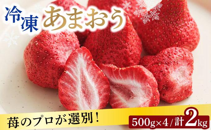 自然環境農法 福岡県産 冷凍あまおう 2kg 2kg