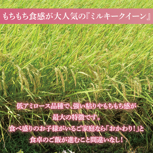 令和6年産 茨城県産 ミルキークイーン10kg（5kg×2袋）【お米 米 ごはん 茨城県】（03-64）