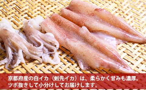 【水産事業者支援】【海鮮の匠　魚政】BBQに最適！　白イカ（ケンサキイカ）　調理済み　正味1K入り（4～8匹）　※小分け真空包装 水産事業者支援　UO01058