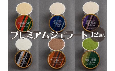 ジェラート アイス アイスクリーム  / プレミアムジェラート 詰め合わせセット（6種類×2個） アイスクリームセット 100mlカップ ゆあさジェラートラボラトリー【kmtb701】