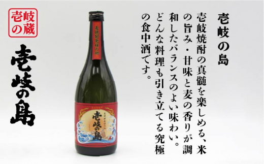 【全6回定期便】隆美焼酎と壱岐の島 25度 720ml 2本入りセット [JDB229] 66000 66000円