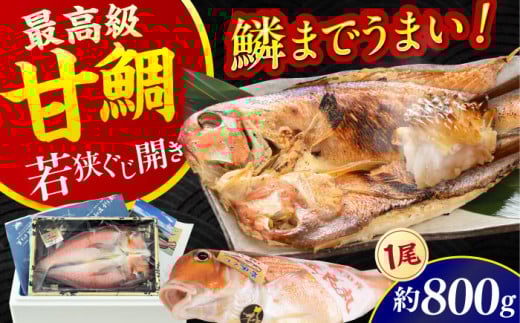 【加福鮮魚】若狭ぐじ 一汐開き 1尾 800g  小浜市 / 加福鮮魚 【配送不可地域：北海道・沖縄・離島】  [BFBC001]