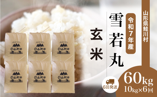 ＜令和7年産米＞ 山形県産 雪若丸 【玄米】60kg定期便(10kg×6回)　配送時期指定できます！