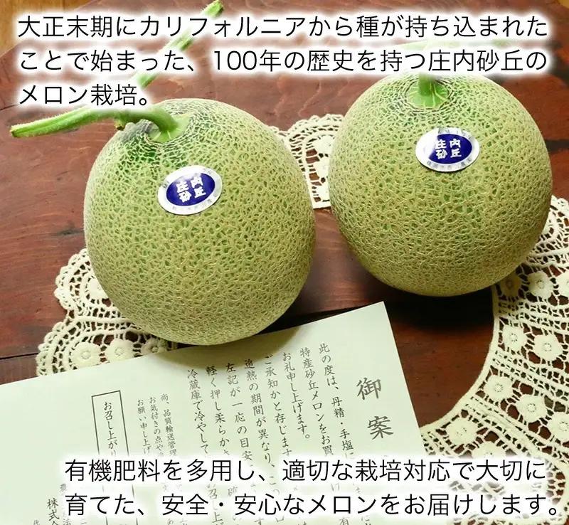 【令和8年産】庄内砂丘メロン 約5kg（3～5個入り）アンデスメロン サンエイファーム　| メロン めろん 5キロ フルーツ 果物 くだもの 夏 旬 デザート 産地直送 山形 鶴岡 庄内 庄内産 東北