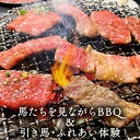 【ふるさと納税】馬たちを見ながらBBQ　【 体験チケット 食事 動物 日本在来馬 和種馬 ドリンク付き のんびり 癒し 】