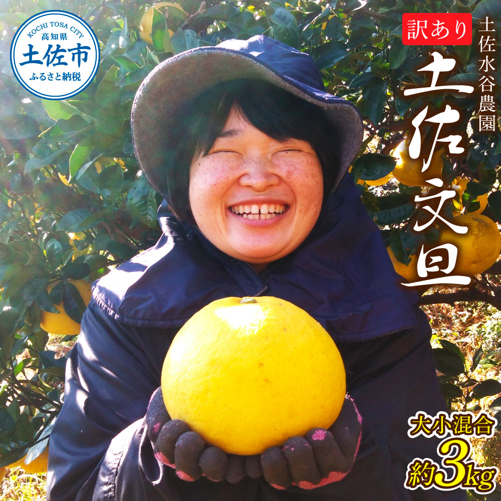 土佐水谷農園の露地土佐文旦 家庭用約3キロ 3kg 大小混合 ぶんたん ブンタン フルーツ 柑橘 みかん 果物 くだもの 柑橘類 デザート おやつ 訳あり わけあり ご家庭用 ご自宅用 旬 食品