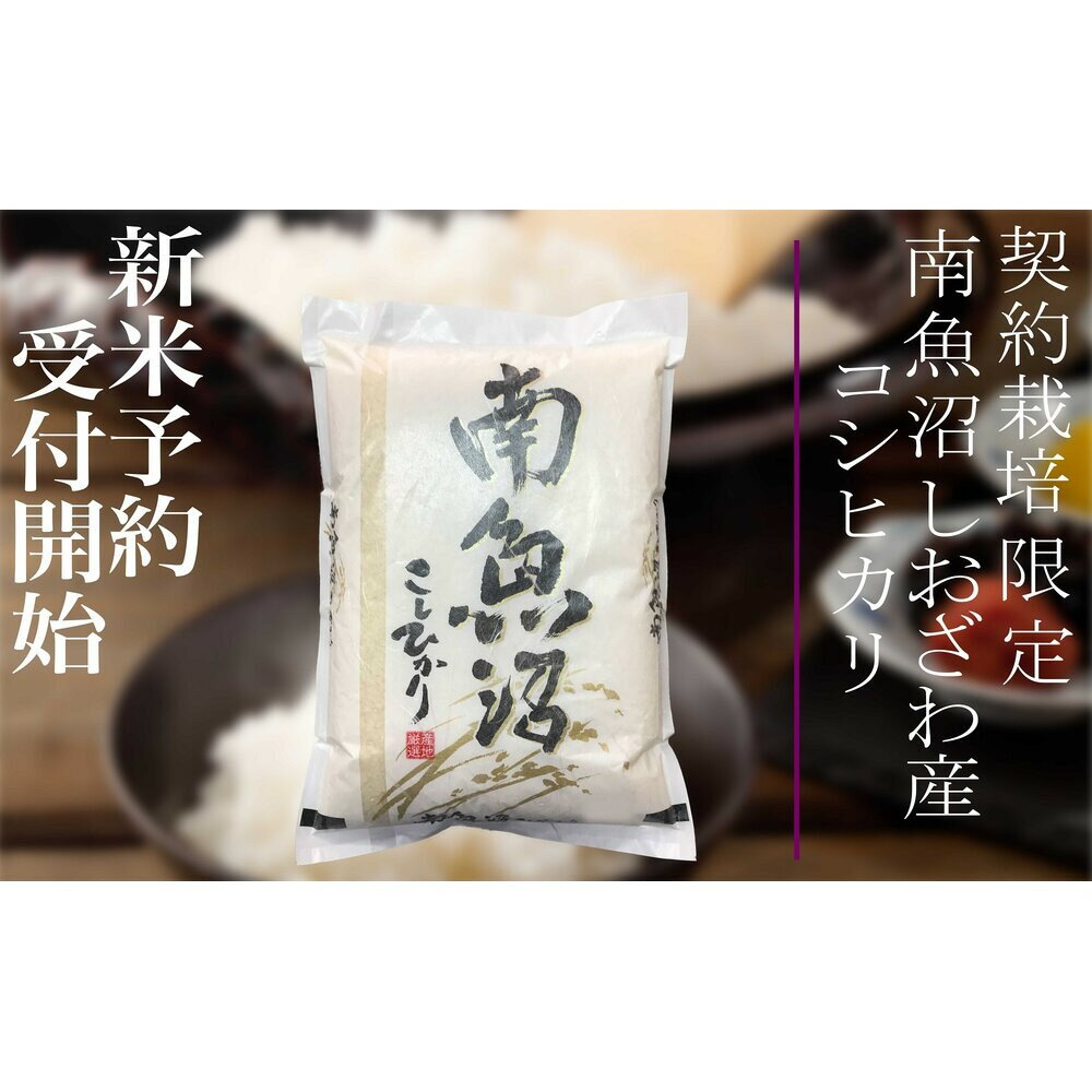 【ふるさと納税】【令和8年産　新米予約】定期便12ヶ月：精米10Kg 契約栽培限定 南魚沼しおざわ産コシヒカリ【2026年10月上旬から1ヶ月以内に順次発送予定】 | お米 こめ 白米 食品 人気 おすすめ 送料無料