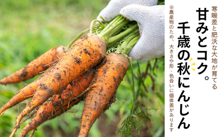 【2025年9月末より発送】北海道産 旬の秋ニンジン 20㎏ 【かねこ農園】
