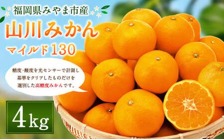 A2 山川 みかん マイルド130 4kg 数量限定 蜜柑 山川みかん ミカン 厳選 【2026年11月上旬～12月上旬迄順次発送予定】