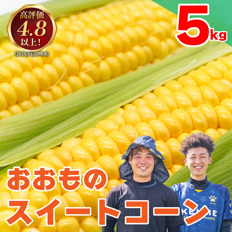 【ふるさと納税】 とうもろこし 5kg スイートコーン 甘い おおもの 朝どり 《 2025年6月～順次発送 》 大粒 コーン サラダ 野菜 やさい 新鮮 サラダ 醤油 バター 砂糖 焼き肉 焼肉 バーベキュー BBQ キャンプ アウトドア 天ぷら スープ コーンスープ 先行予約 徳島県 阿波市