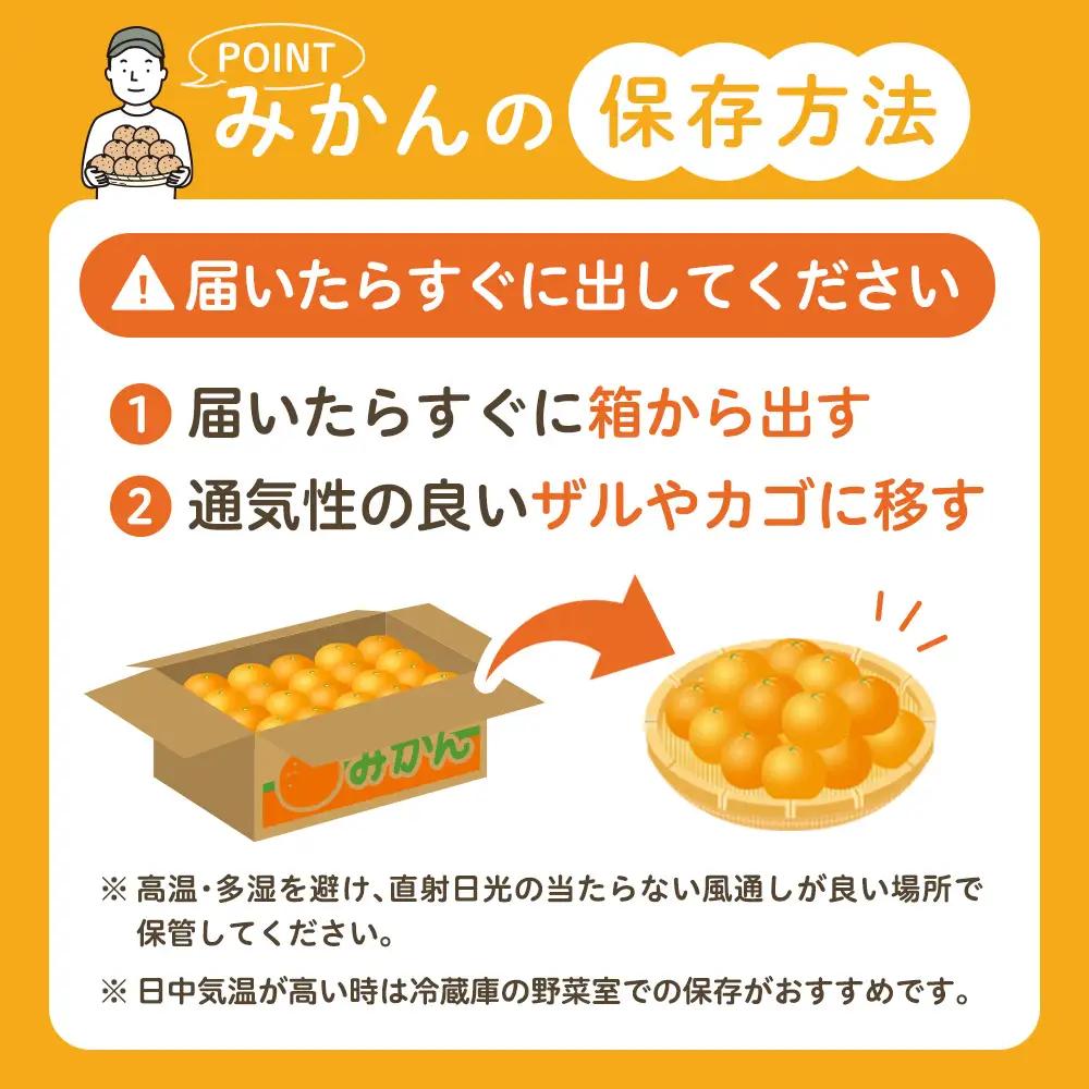 かねひろの黒酢みかん たっぷり 大玉 10kg （2L～3Lサイズ） 【7営業日以内発送】【2026年10月下旬から2027年1月下旬まで発送予定】 みかん ミカン 黒酢みかん 温州みかん 極早生種 
