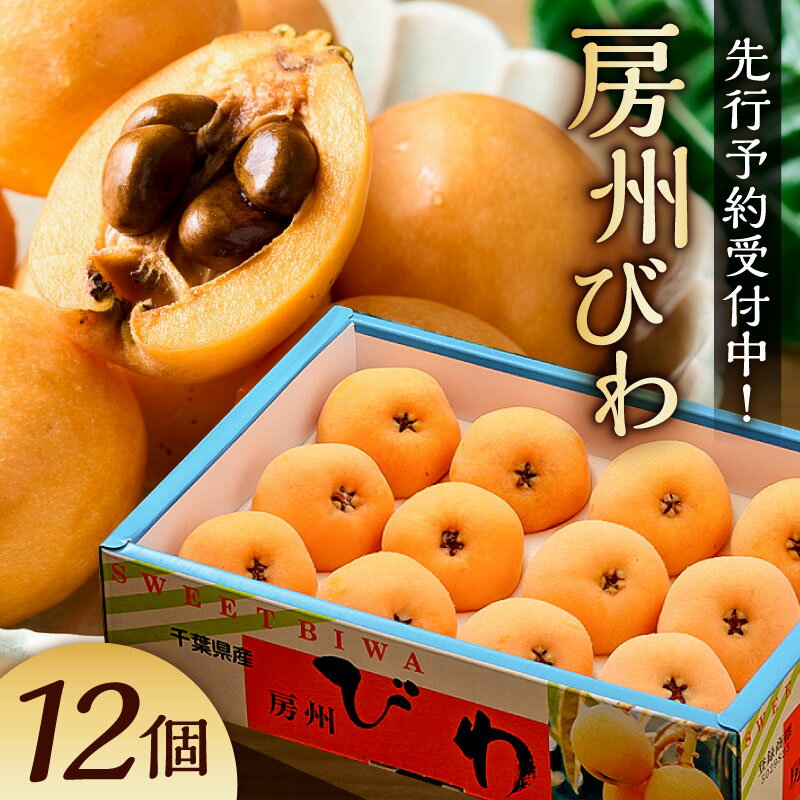 【ふるさと納税】【先行受付 2026年5月下旬～6月中旬発送予定】房州びわ(露地)12粒入2Lサイズ以上1箱 枇杷 皇室献上品 千葉県 南房総市 甘み 酸味 瑞々しい 常温 フルーツ 新鮮 果物 肉厚 大粒 ご贈答品 送料無料