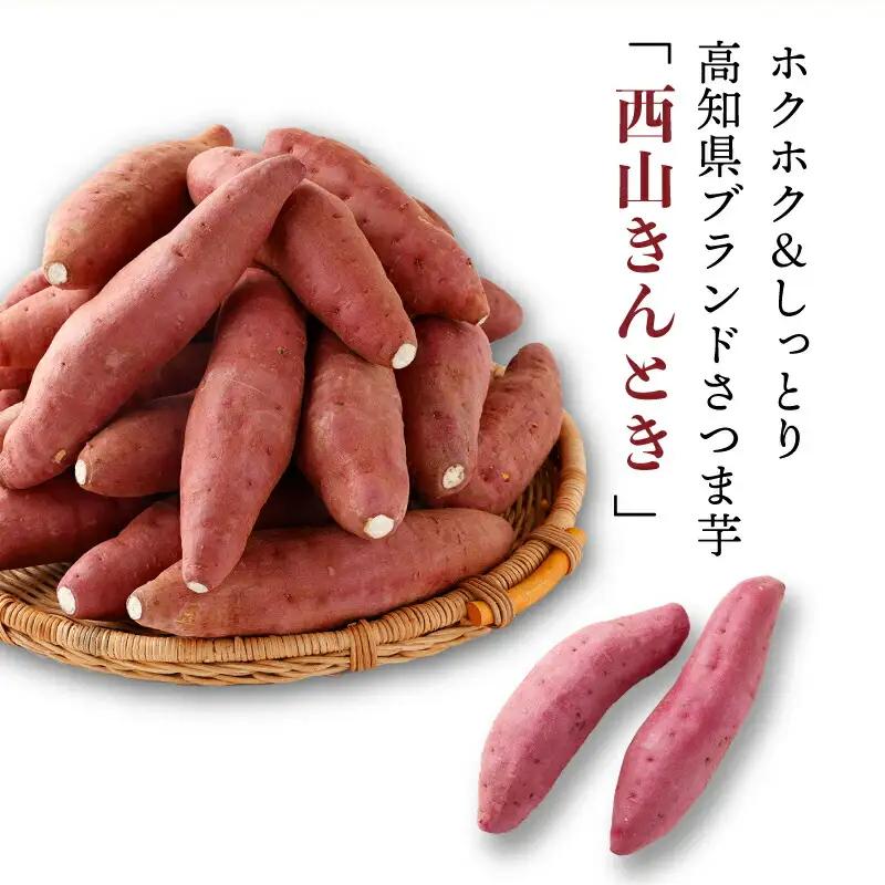 【令和９年１月お届け】西山きんとき芋（さつまいも） 訳あり 10kg ブランド芋 さつまいも サツマイモ さつま芋 焼き芋 やきいも ヤキイモ 野菜 大小混合 傷 故郷納税 送料無料