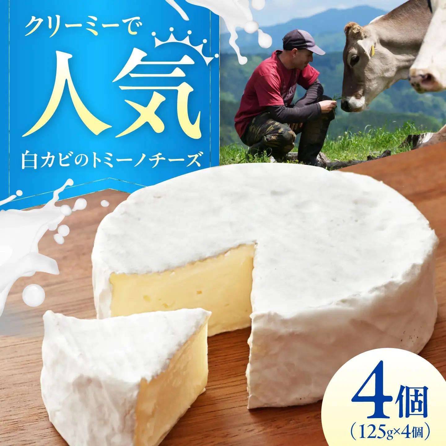 山地放牧酪農ミルクのトミーノチーズ（白カビタイプ）4個セット/チーズ トミーノチーズ  愛媛県 伝統製法 おつまみ 乳製品/株式会社醍醐[BKAH005]