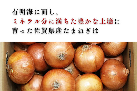 【期間限定】佐賀県産 たまねぎ 10kg 旬 佐賀県 佐賀市 玉ねぎ：B120-079