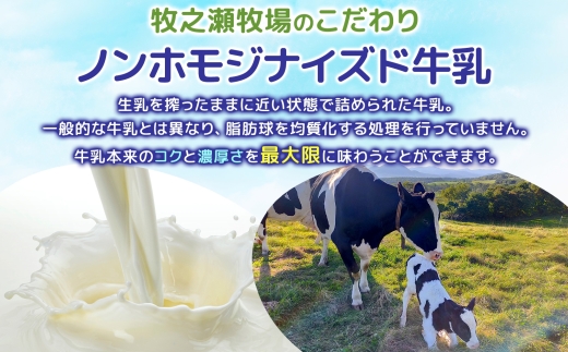 3454. 牧之瀬牧場 牛乳 150ml × 10本 牛乳 牛 乳 みるくミルク ノンホモジナイズド牛乳 脂肪 放牧 濃厚 搾りたて 甘い クリーミー さっぱり 牛耳ボトル 可愛い ギフト 冷蔵 牧之