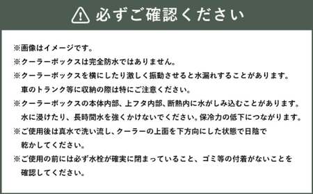 釣具のダイワのクーラーボックス クールラインα S1000X （ 容量：10リットル ） クーラーボックス ボックス ダイワ アウトドア レジャー フィッシング 釣り キャンプ バーベキュー