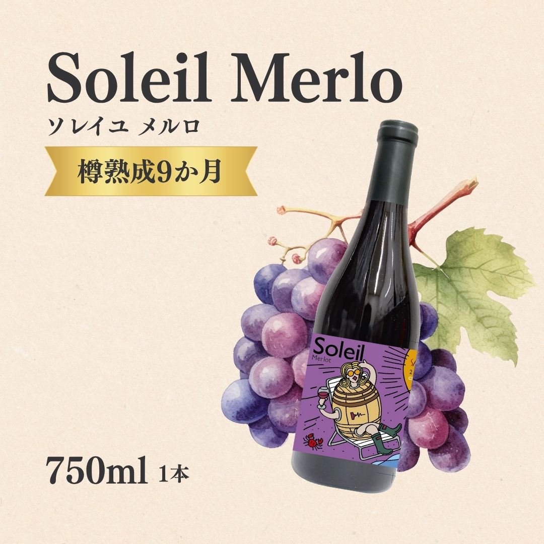 【ふるさと納税】赤ワイン＜ソレイユメルロ＞ 750ml × 1本 ｜ ワイン 国産 千曲市 長野県産 信州