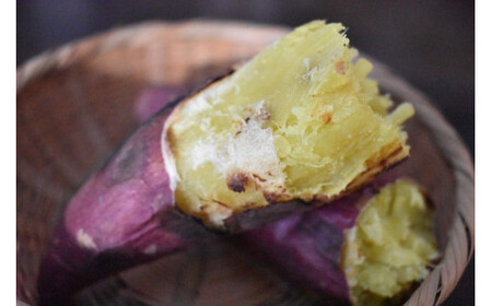 【2025年11月より順次発送】2025年度産 上品な甘みのさつまいも あいこまち 約5kg｜さつまいも サツマイモ さつま芋 芋 お芋 あいこまち 先行予約 渋谷農園 人気 送料無料 茨城県 行方市