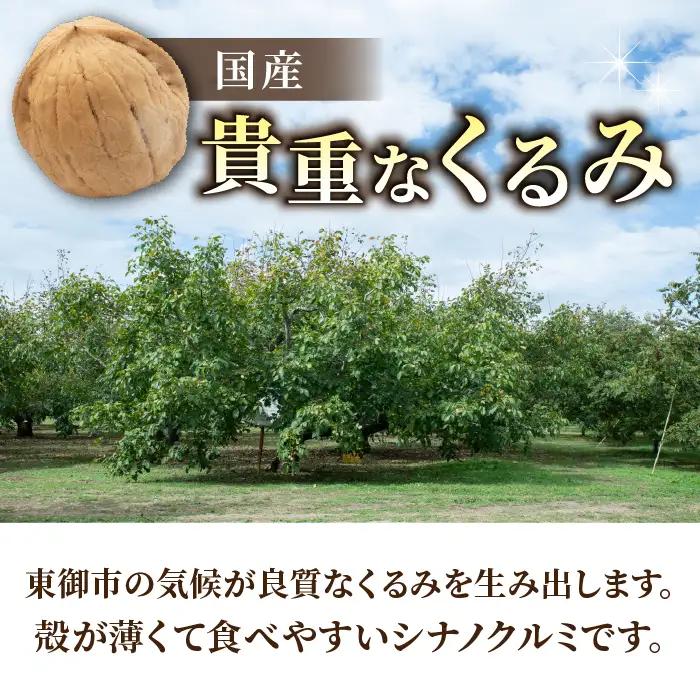 長野県産 殻つきくるみ約1.4kg（2026年収穫分）｜JA信州うえだ東部地区営農課 ※2026年11月下旬以降発送 胡桃 信濃くるみ ナッツ 家庭用 自宅用 おつまみ おやつ 無塩 無油 国産 信州