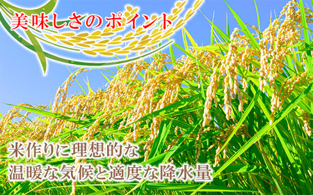 令和7年産 岡山県産米「あけぼの」 10kg(5kg×2袋) 2026年9月発送