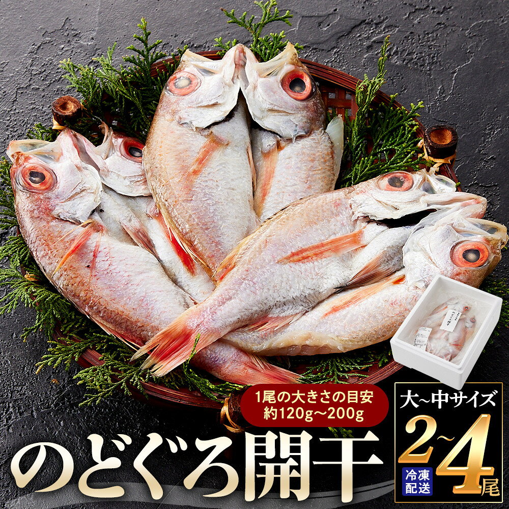 【ふるさと納税】のどぐろ開干(大～中サイズ/2～4尾) | のどぐろ ノドグロ 赤ムツ 干物 開き 一夜干し 魚干物 高級魚 脂のり 脂がのった 旨味 凝縮