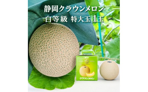 
クラウンメロン【並（白等級）】特大玉（1.5kg前後）1玉入り 人気 厳選 ギフト 贈り物 デザート グルメ 果物 袋井市
