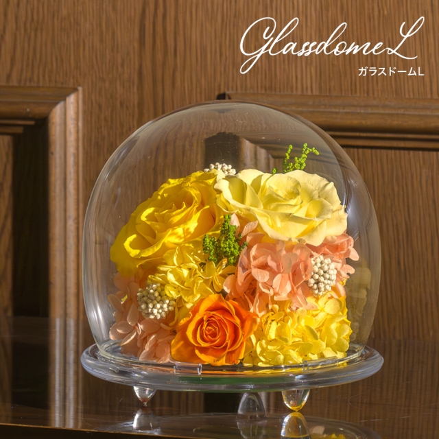 
            ガラスドームL 花 お花 プリザーブドフラワー ギフト プレゼント お祝い 誕生日 お供え アレンジ インテリア 東京都 墨田区 [№5619-2444]
          