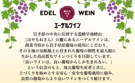 赤ワイン飲み比べ２本セット【箔押しギフトＢＯＸ入り】自社畑ツヴァイゲルトレーベ2018・2019【1428】