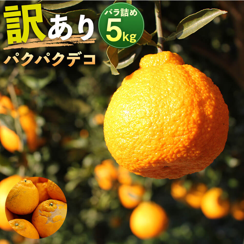 【ふるさと納税】パクパクデコ 5kg バラ詰め 訳あり B品 予約 デコポン 不知火 傷あり サイズ混合 ご家庭用 九州産 熊本県産 果物 みかん 柑橘 送料無料 【2026年2月下旬-6月下旬発送】