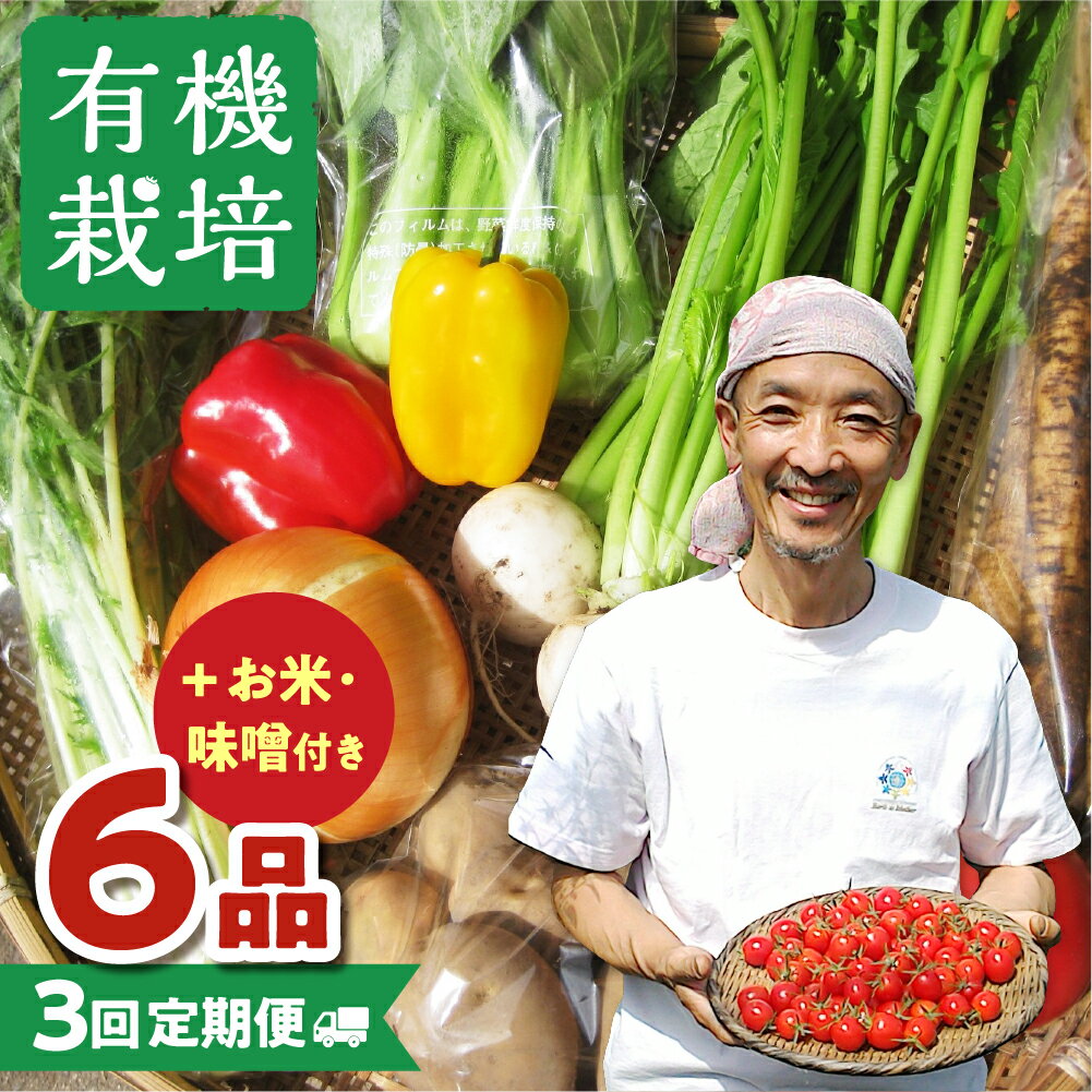 【ふるさと納税】《先行予約 令和7年産秋お届け》 野菜の栄養価コンテストグランプリ農家が贈る 無農薬栽培 野菜セット 6品 3回お届け 定期便 お野菜のレシピ付き 野菜 米 味噌 黒豆米糀味噌 定期便 お楽しみ ありがとうファーム [Q215re] 30000円 3万円 《hida0307》