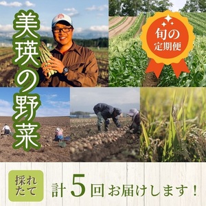 【令和７年産予約受付！】～美瑛の四季～ 野菜の定期便【鈴蘭(大)】5回便 | アスパラ とうもろこし 玉ねぎ いも 芋 イモ じゃがいも ジャガイモ 米 こめ お米 コメ 食べ比べ 送料無料 セット人